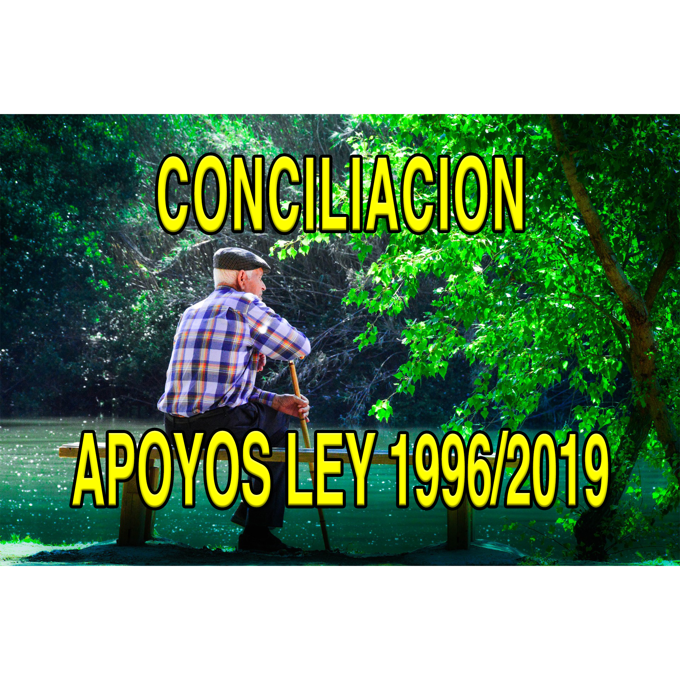 CONCILIACION DE APOYOS