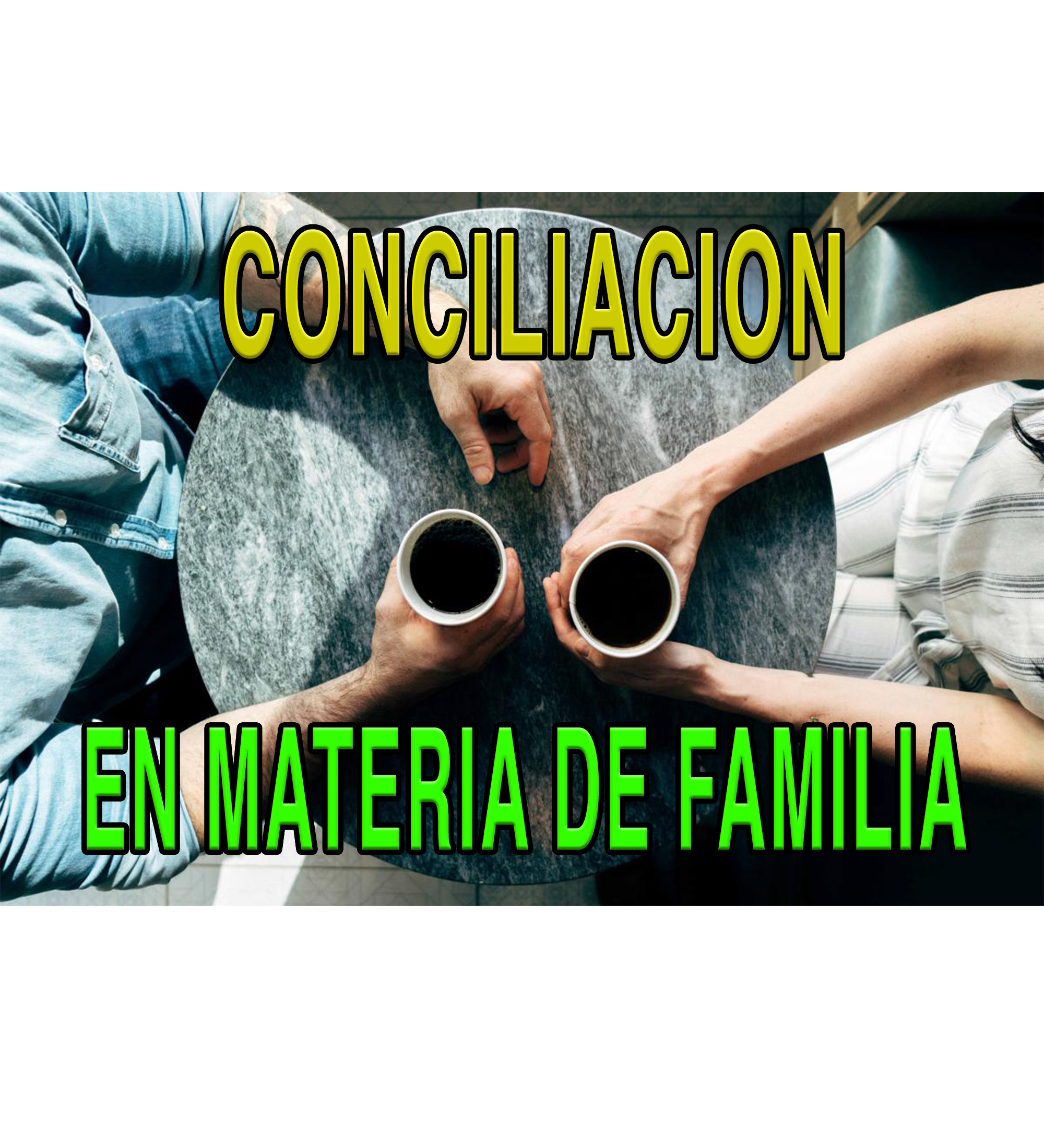 CONCILIACION EN MATERIA DE FAMILIA
