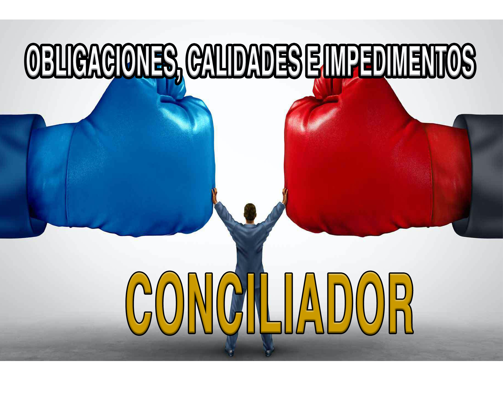 OBLIGACIONES, IMPEDIMENTOS Y CALIDADES