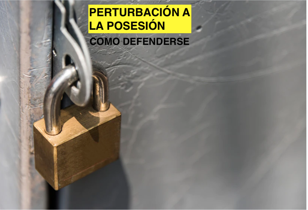 Perturbacion a la posesion